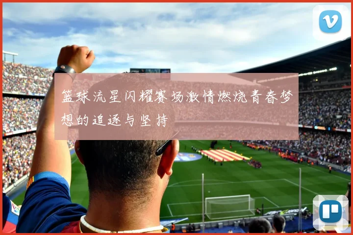 篮球流星闪耀赛场激情燃烧青春梦想的追逐与坚持