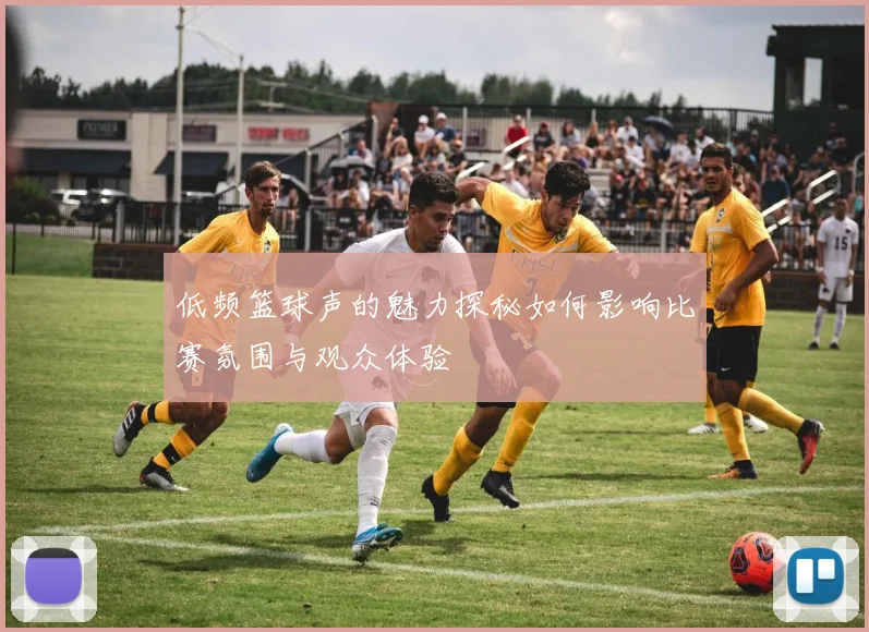 低频篮球声的魅力探秘如何影响比赛氛围与观众体验